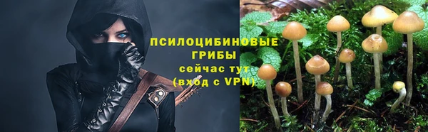 прущий лед Алексеевка