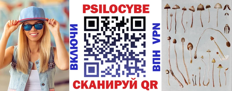 Псилоцибиновые грибы Psilocybine cubensis  Черкесск 