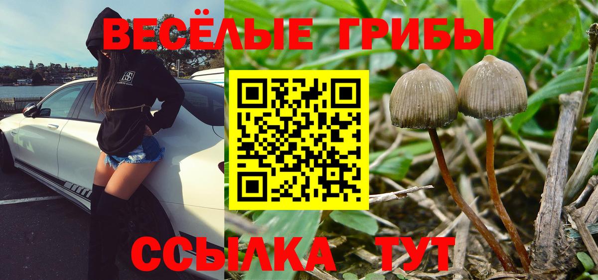 Галлюциногенные грибы Psilocybe  Вход с VPN  Псилоцибиновые грибы мухоморы  Черкесск 