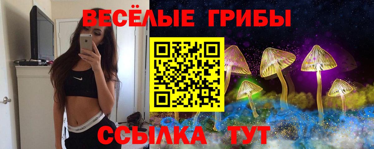 Галлюциногенные грибы мицелий Черкесск